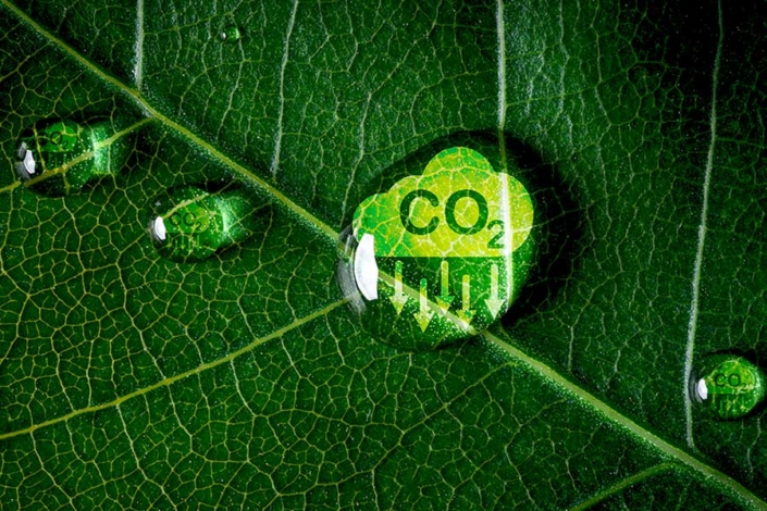 nd_LectaCarbonFootprint